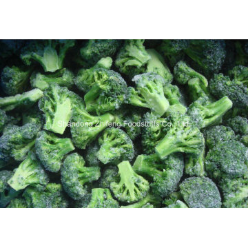 Brócoli IQF congelado de alta calidad